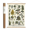 Cavellini Arboretum | Wrap | Conscious Craft